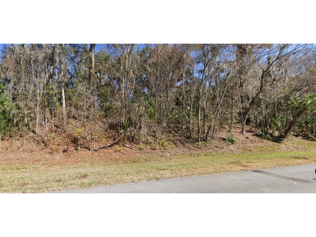 Se Wacahoota Rd Micanopy FL 32667 O6273458 image2