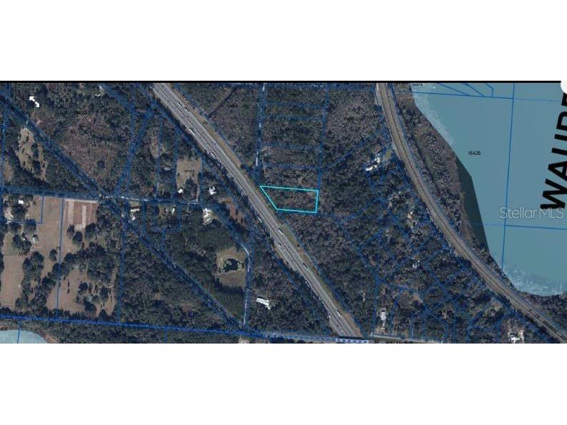 Se Wacahoota Rd Micanopy FL 32667 O6273458 image5