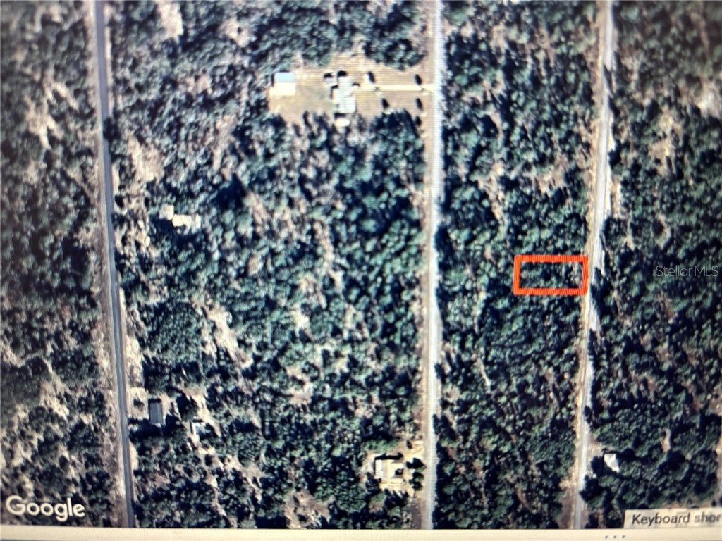 Sea Weed Ave Dunnellon FL 34431 OM713138 image1