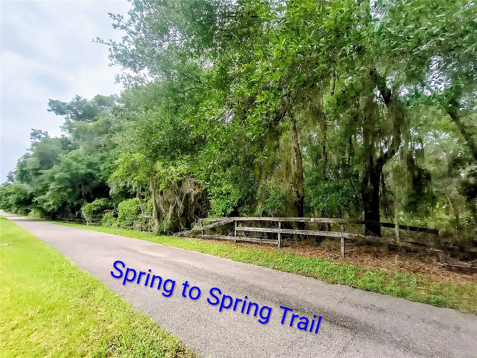 Seabiscuit Trail Deland FL 32720 V4949406 image2