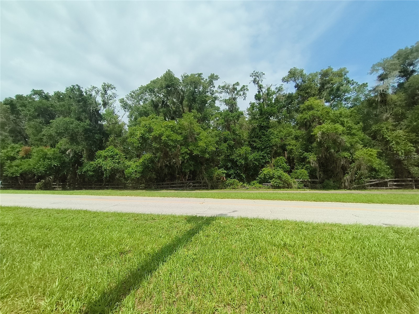 Seabiscuit Trail Deland FL 32720 V4949406 image5