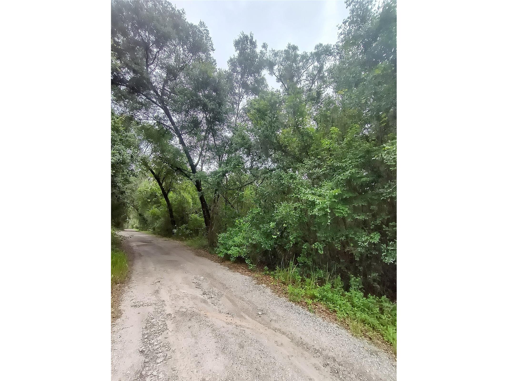 Seabiscuit Trail Deland FL 32720 V4949406 image7