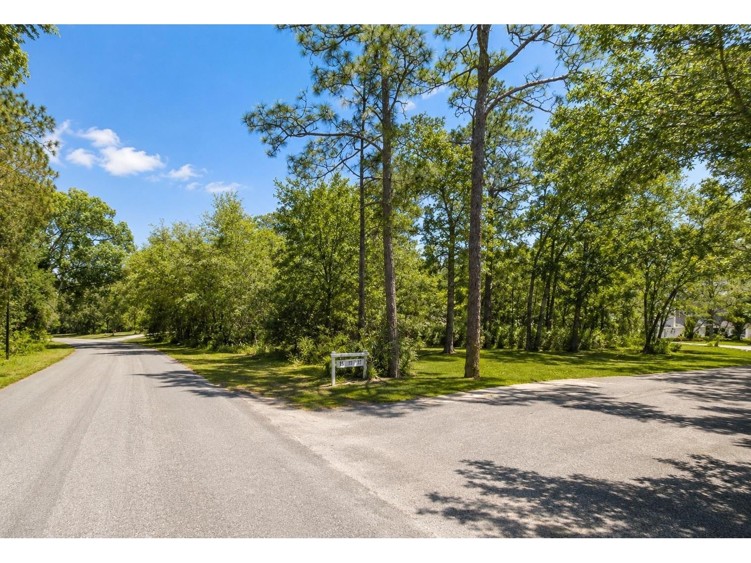 Seagrape Street Homosassa FL 34446 TB8527642 image1