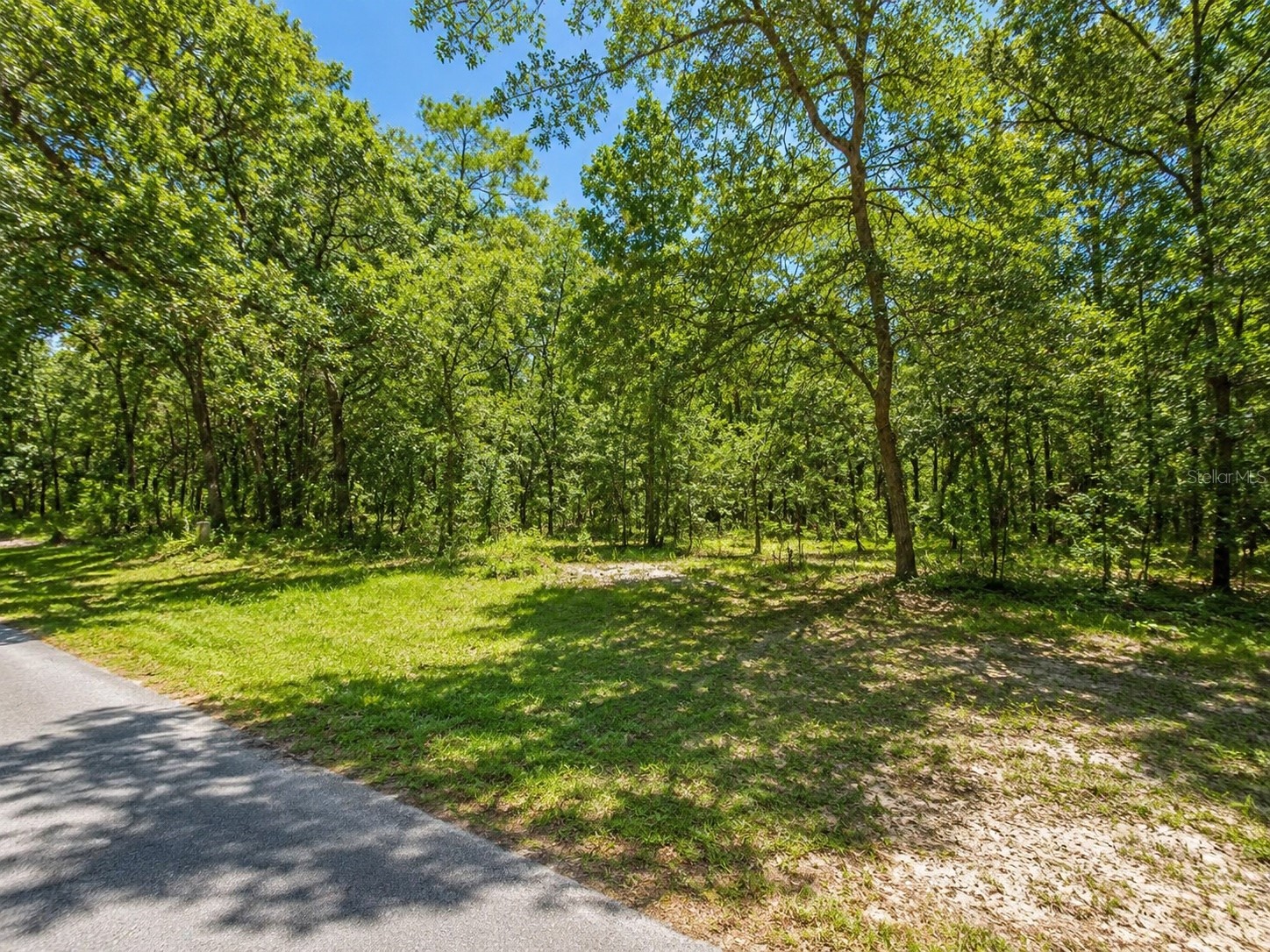 Seagrape Street Homosassa FL 34446 TB8527642 image2