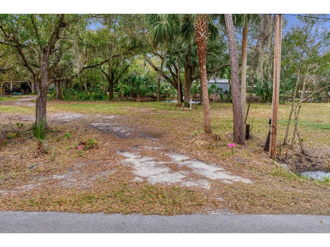 Seagull Way Tampa FL 33635 T3499480 image1