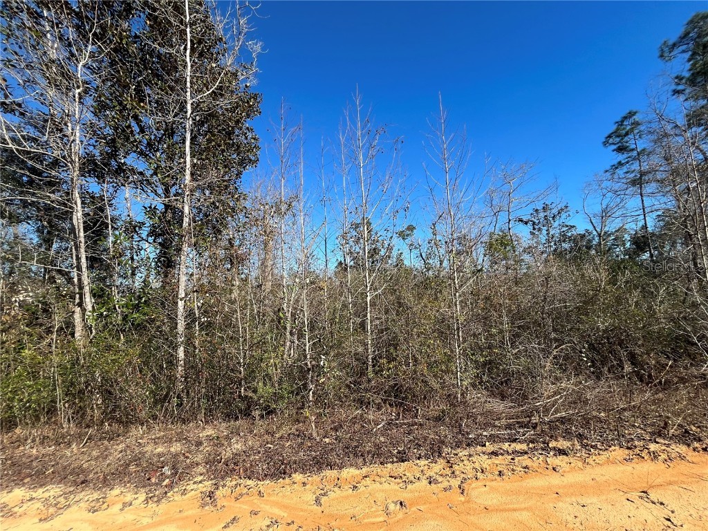 Seashore Avenue Alford FL 32420 OK223172 image1