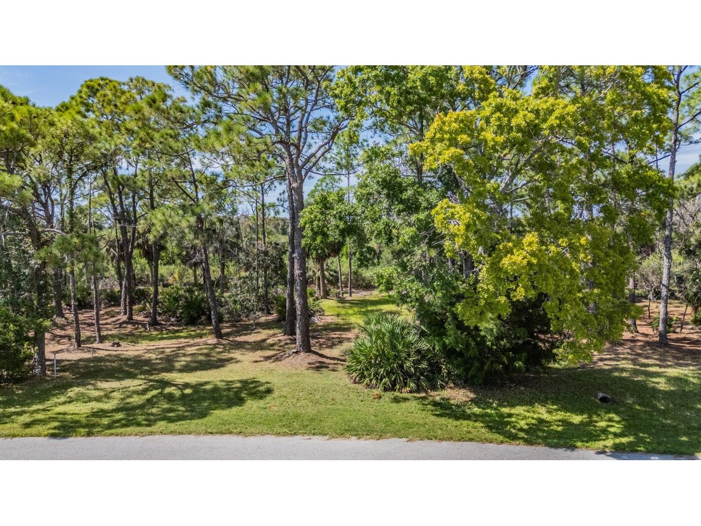 Seaview Drive Crystal Beach FL 34681 - LAKE CHAUTAUQUA TB8428721 image21