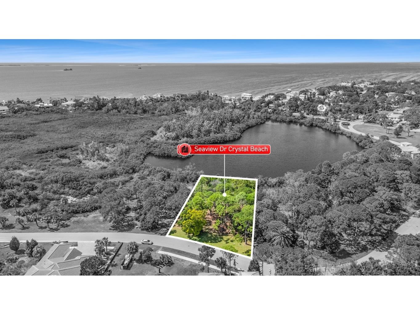 Seaview Drive Crystal Beach FL 34681 - LAKE CHAUTAUQUA TB8428721 image5