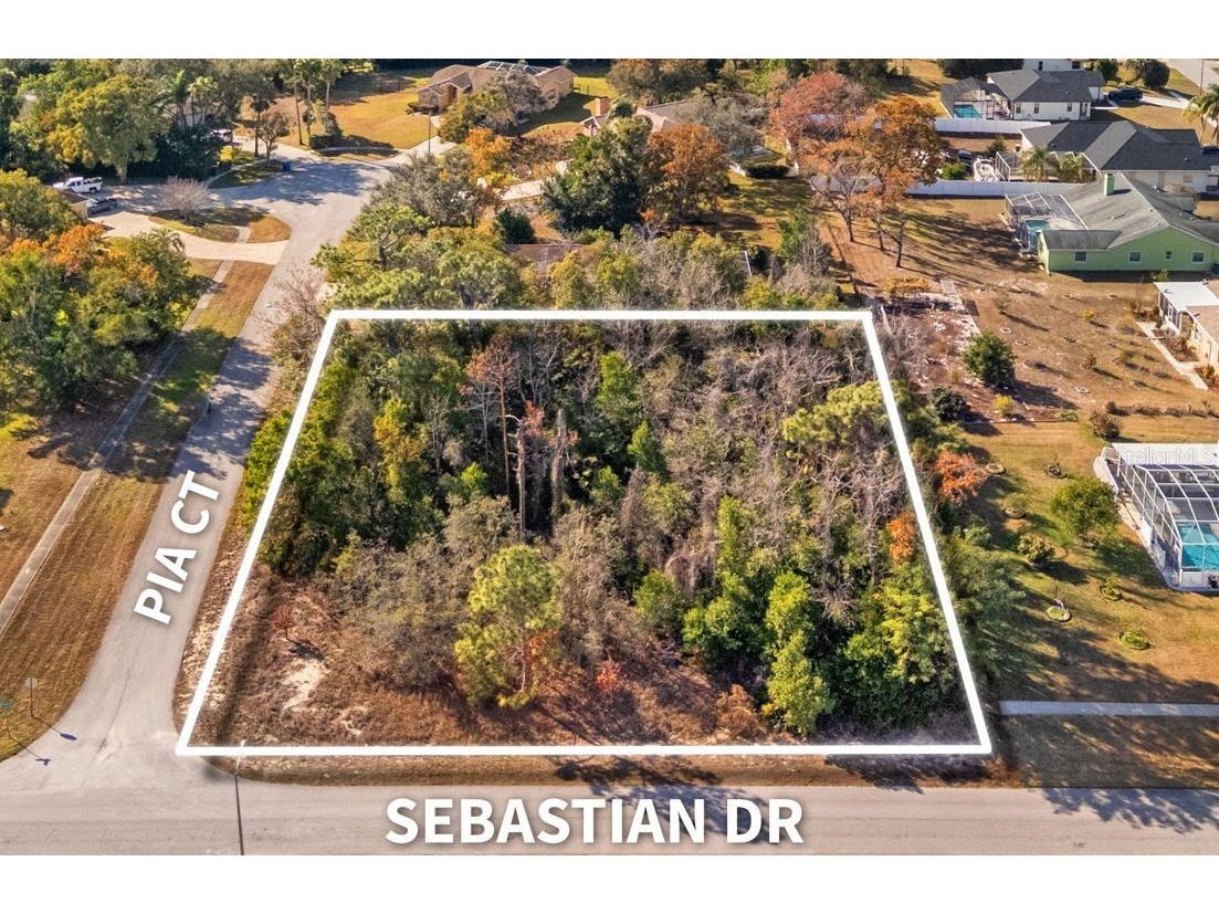 Sebastian Drive Spring Hill FL 34609 TB8467322 image1