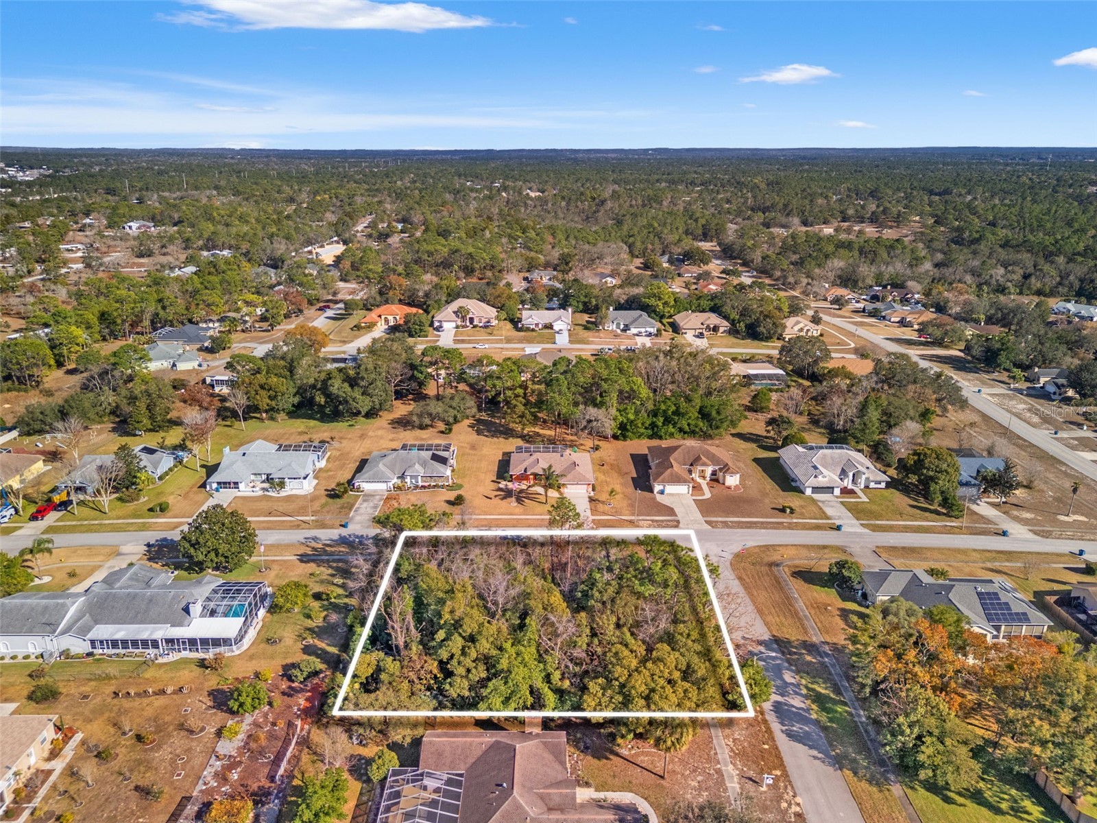 Sebastian Drive Spring Hill FL 34609 TB8467322 image2