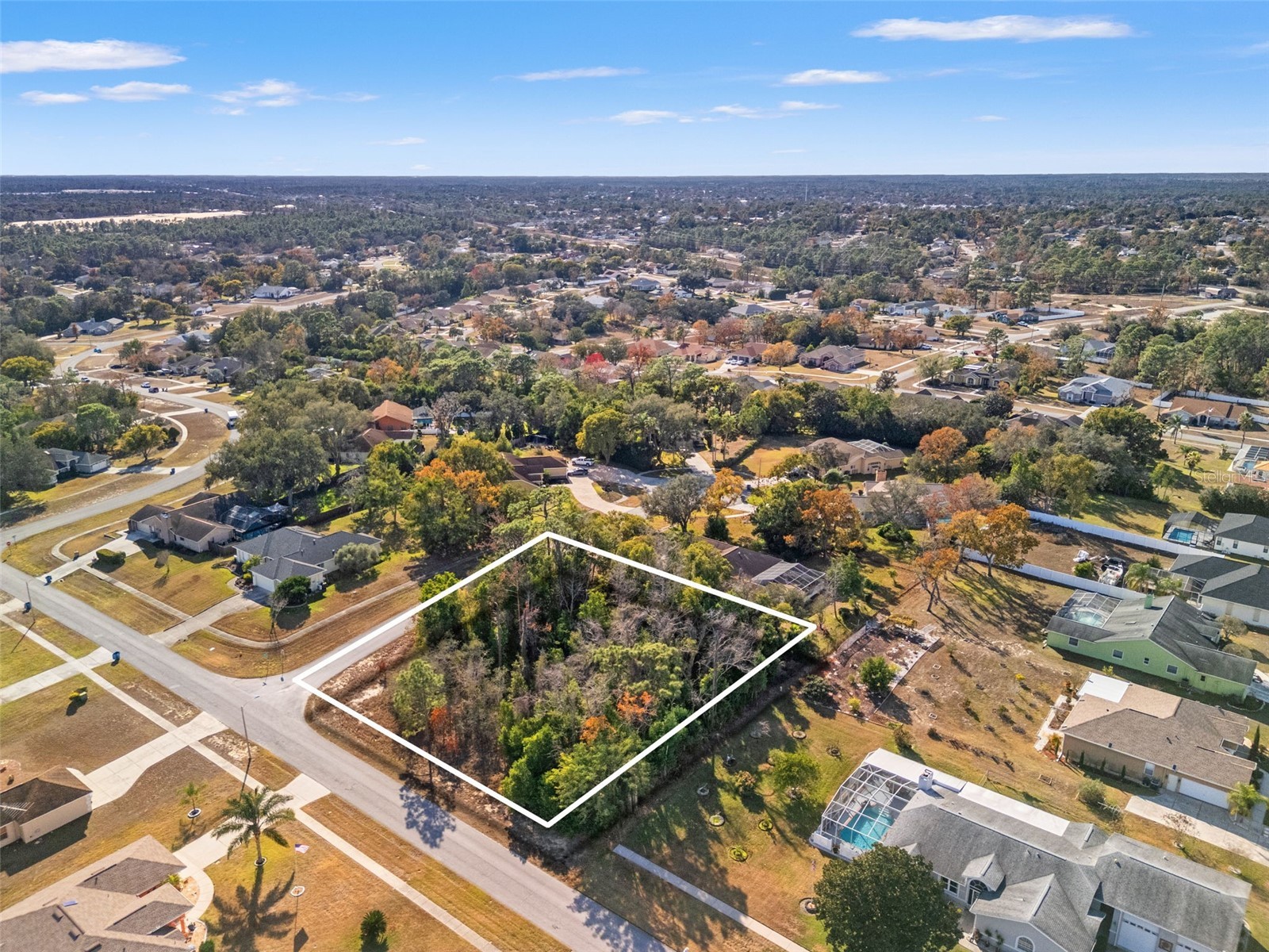 Sebastian Drive Spring Hill FL 34609 TB8467322 image3