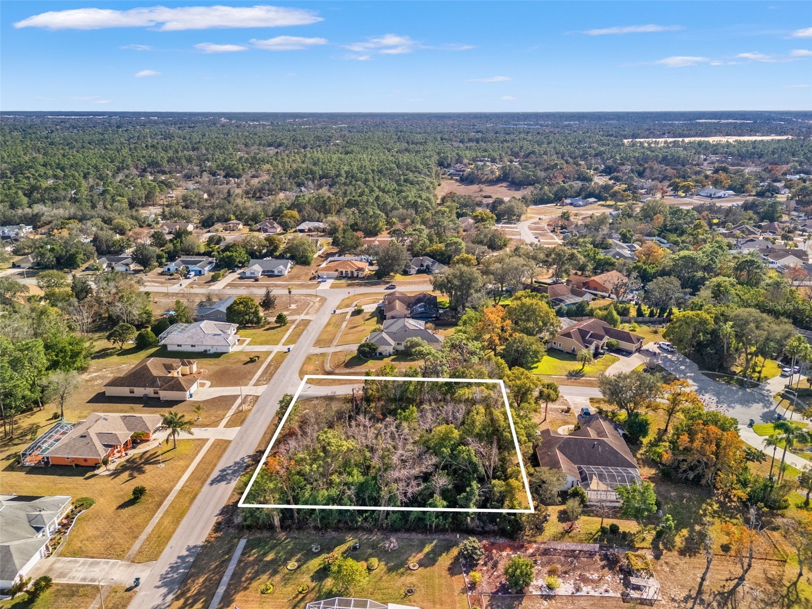 Sebastian Drive Spring Hill FL 34609 TB8467322 image4