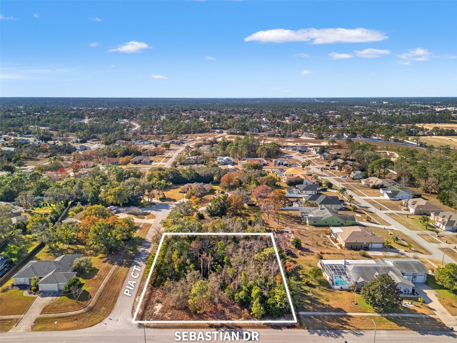 Sebastian Drive Spring Hill FL 34609 TB8467322 image5
