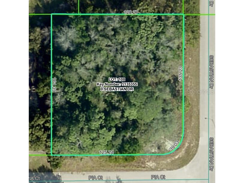 Sebastian Drive Spring Hill FL 34609 TB8467322 image6