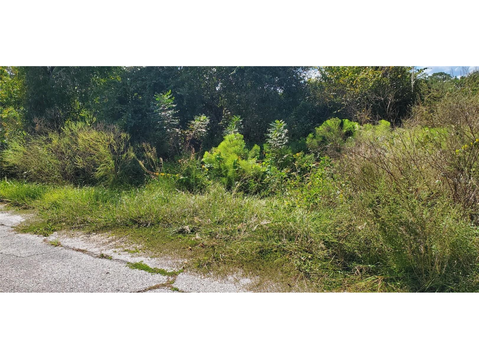 Sebring Court Poinciana FL 34759 S5137080 image1