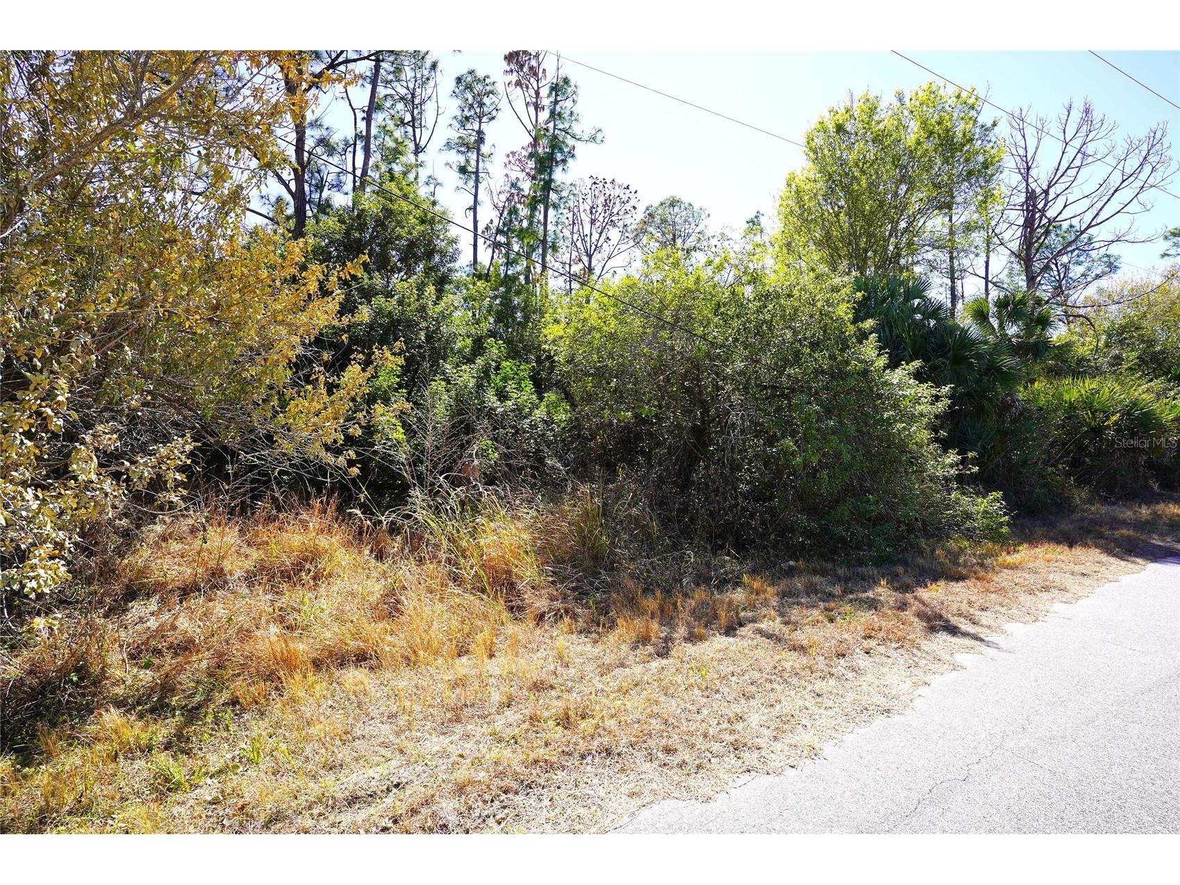 Sedberry Avenue North Port FL 34288 C7521715 image1