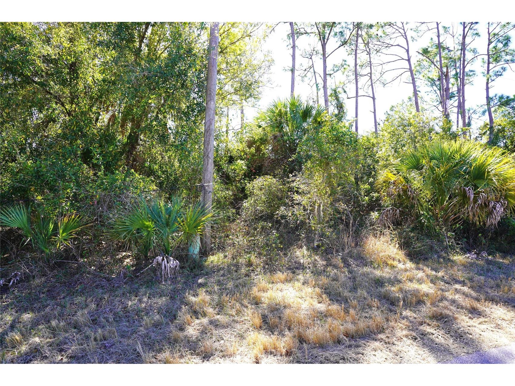 Sedberry Avenue North Port FL 34288 C7521715 image2