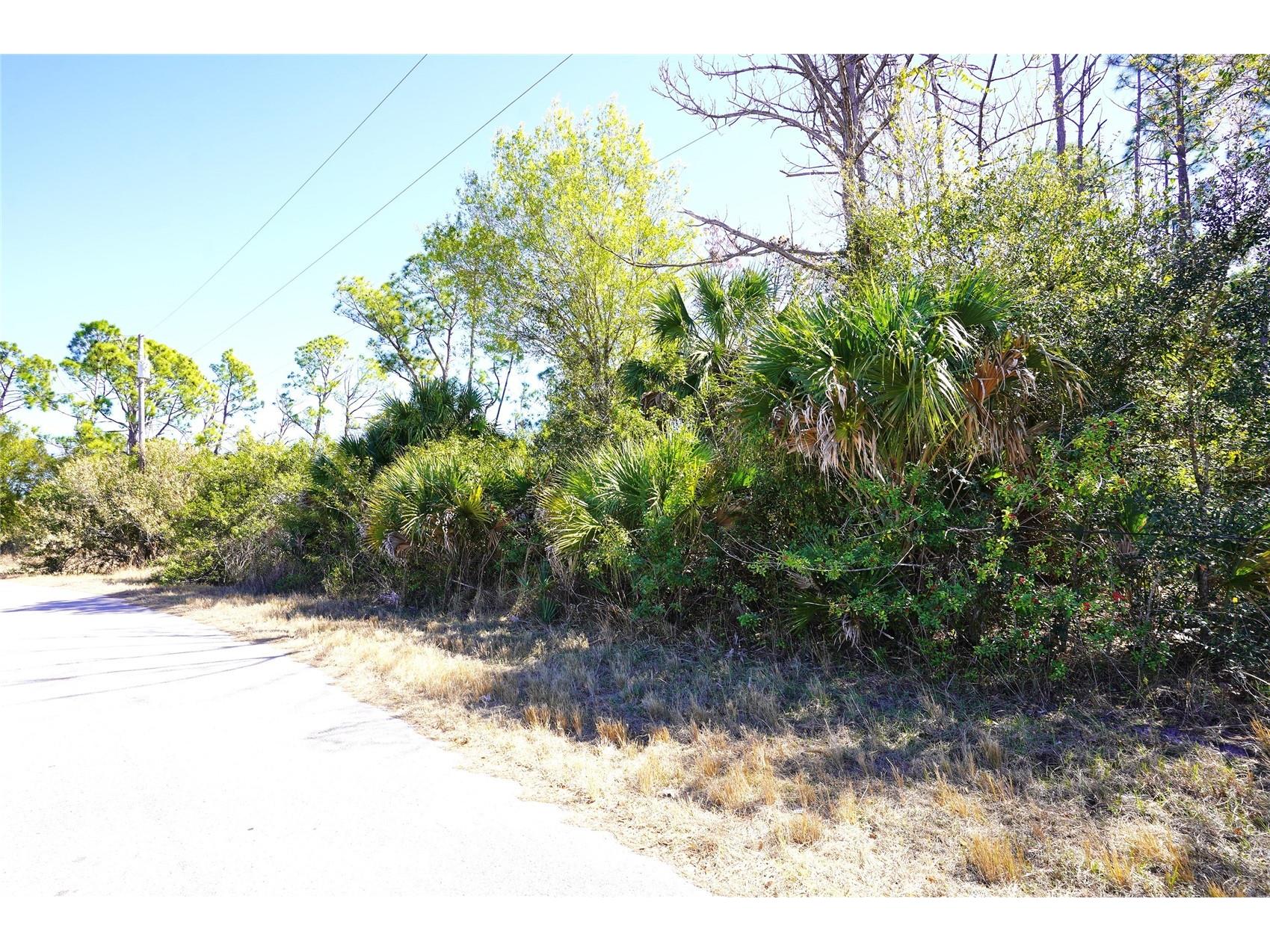 Sedberry Avenue North Port FL 34288 C7521715 image3