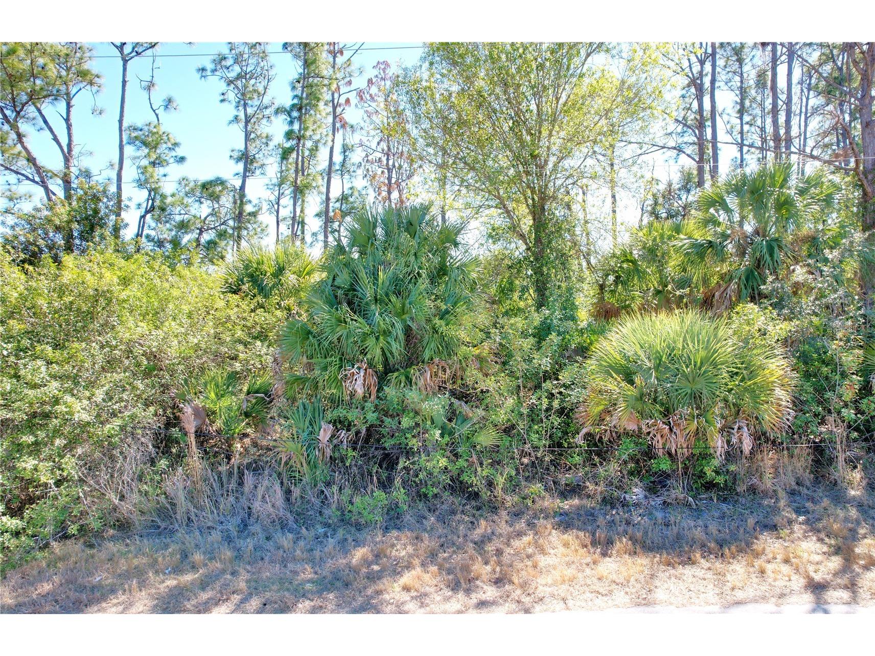 Sedberry Avenue North Port FL 34288 C7521715 image4