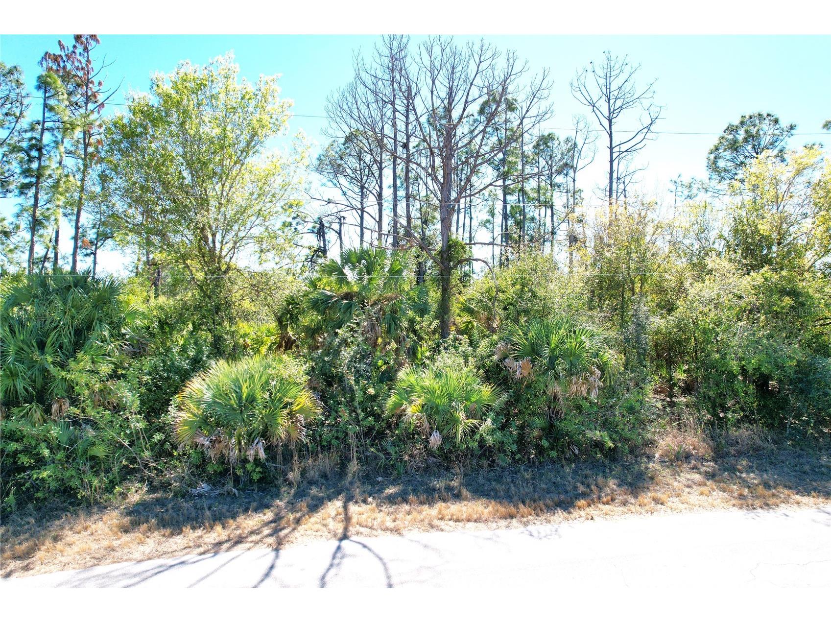 Sedberry Avenue North Port FL 34288 C7521715 image9