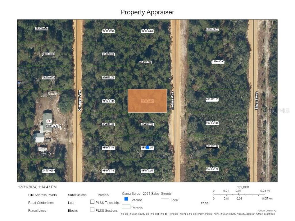 Selma Avenue Interlachen FL 32148 A4633892 image1