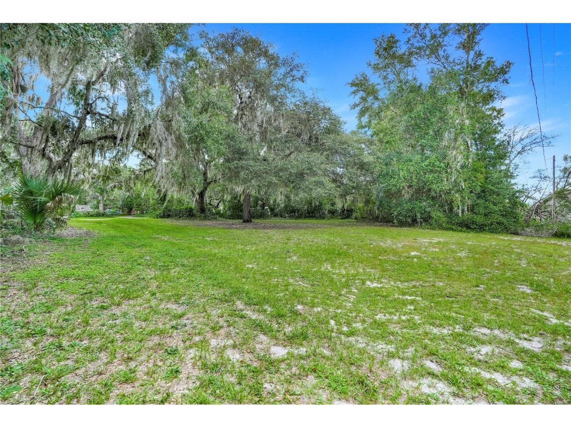 Selman Road Leesburg FL 34748 G5102044 image1