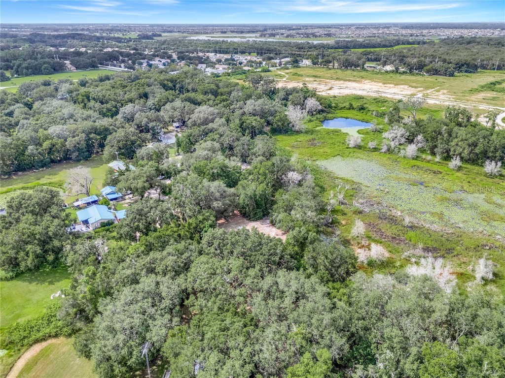 Selman Road Leesburg FL 34748 G5102044 image4