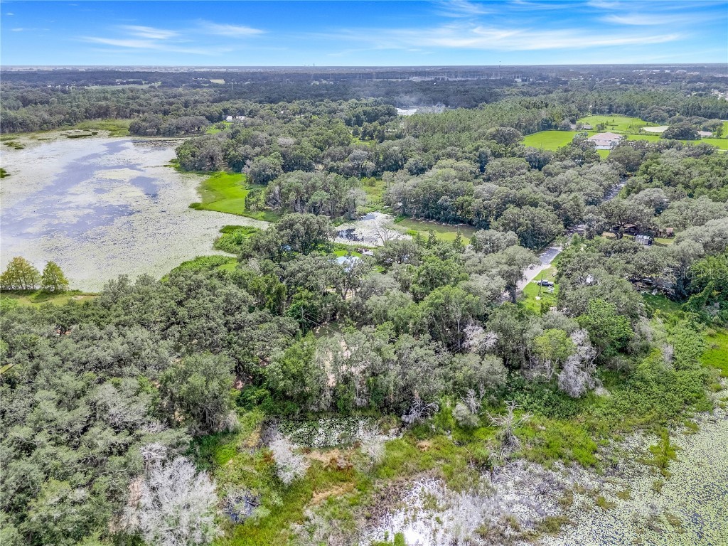 Selman Road Leesburg FL 34748 G5102044 image5