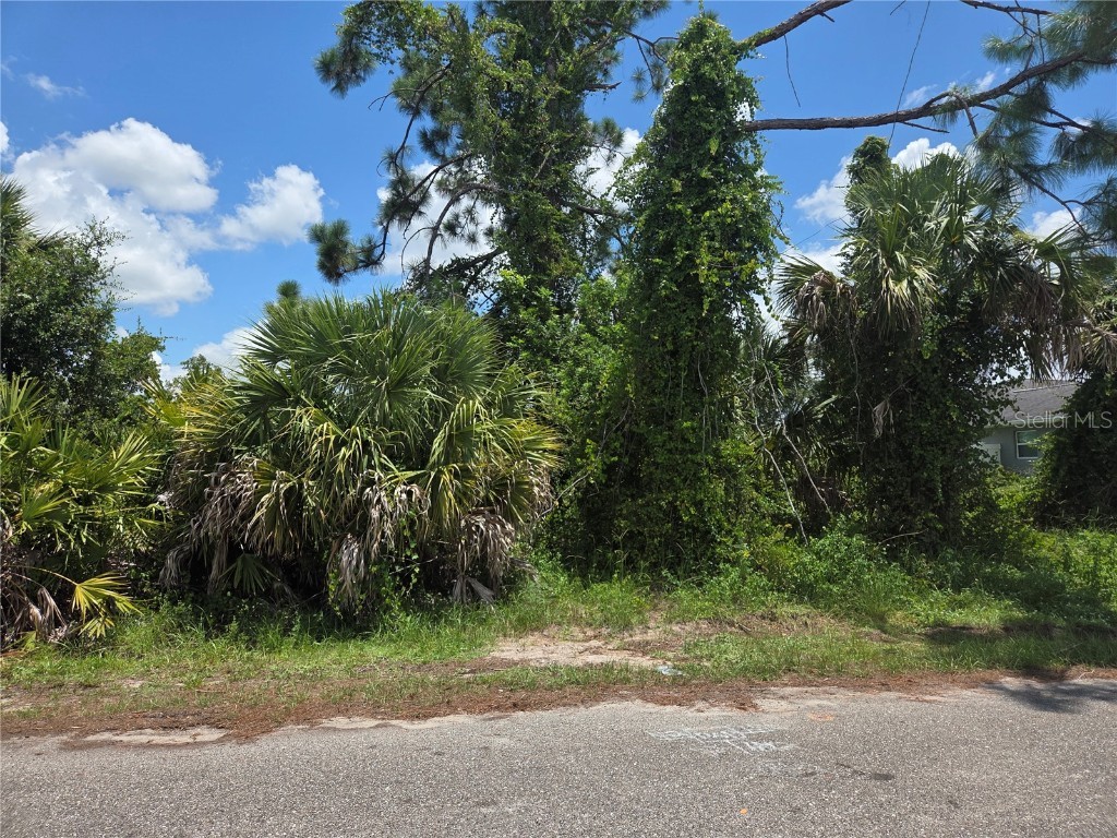 Selover Road North Port FL 34287 C7513382 image1