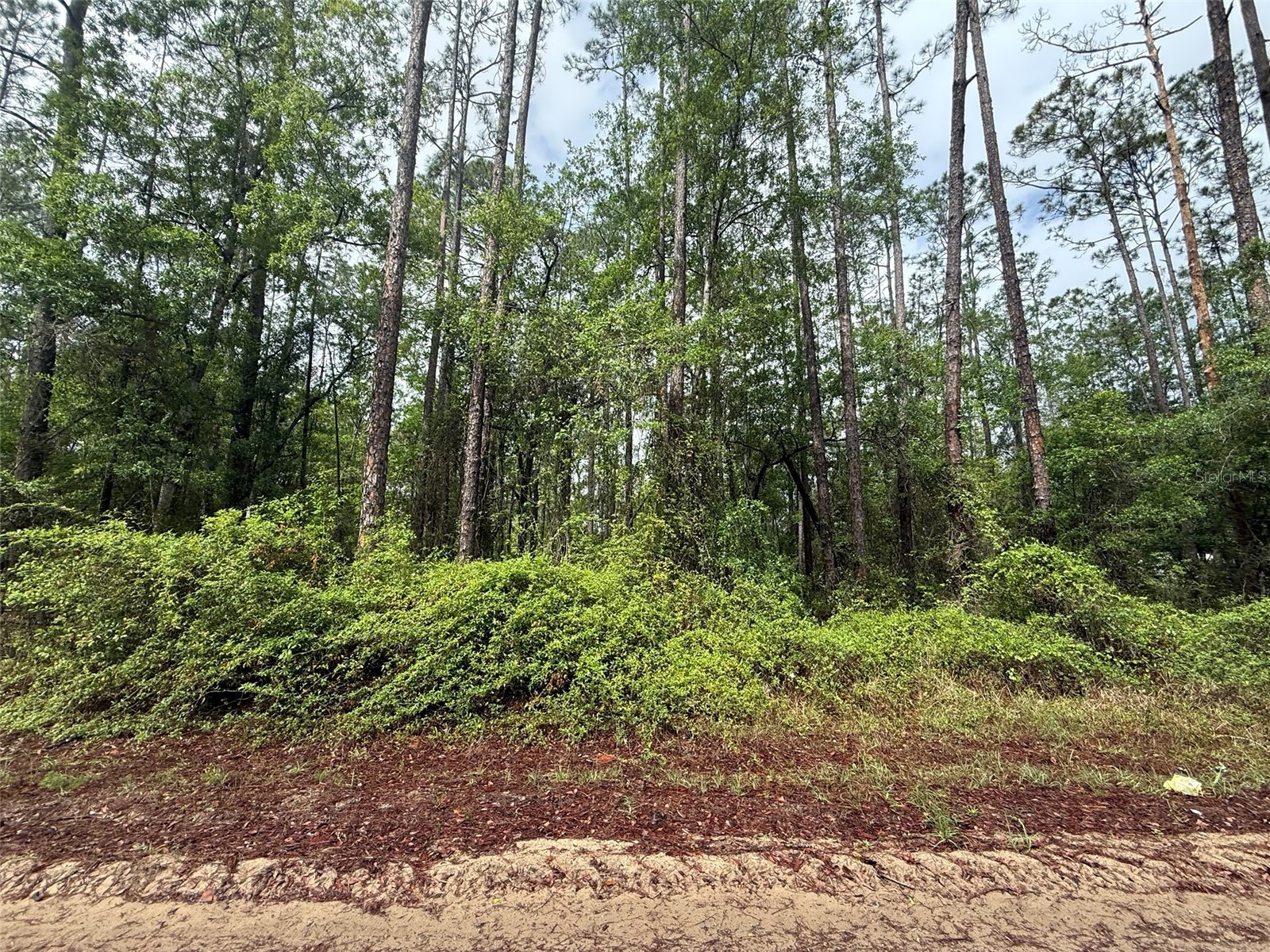 Seminole Avenue Interlachen FL 32148 K4903238 image1