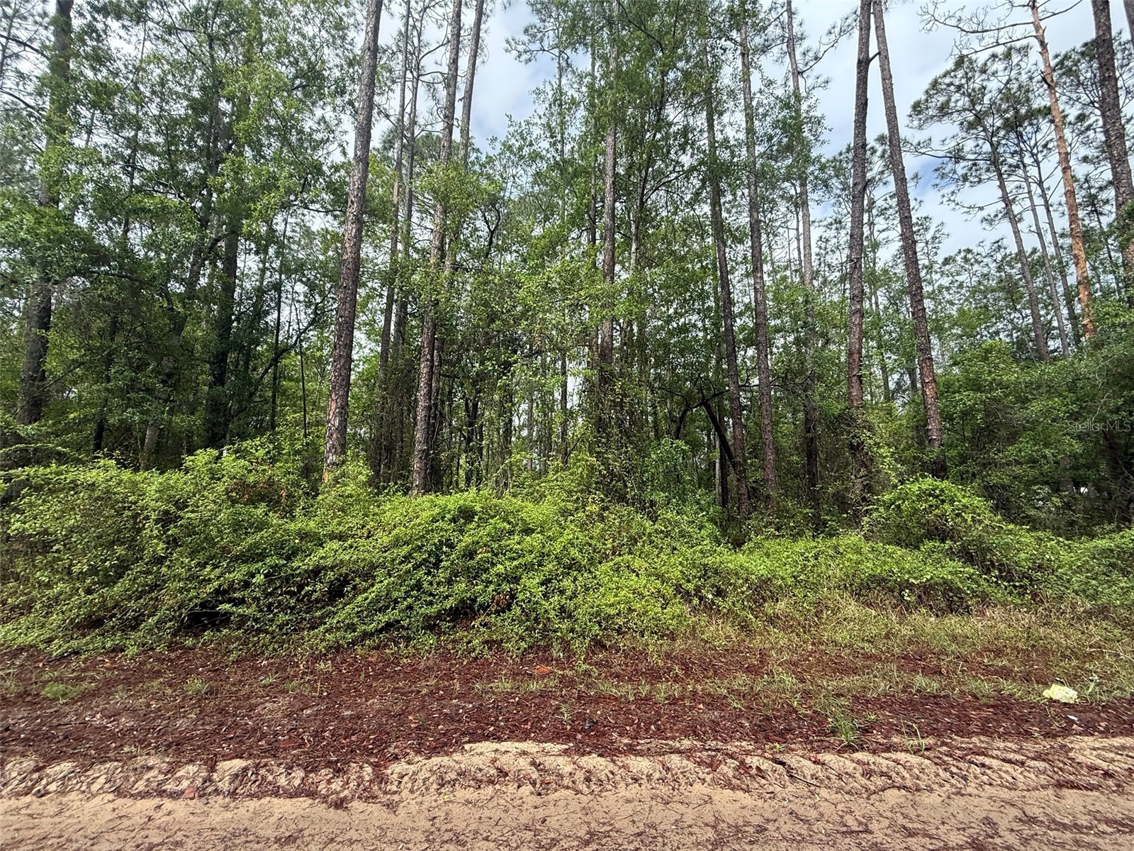 Seminole Avenue Interlachen FL 32148 K4903238 image4
