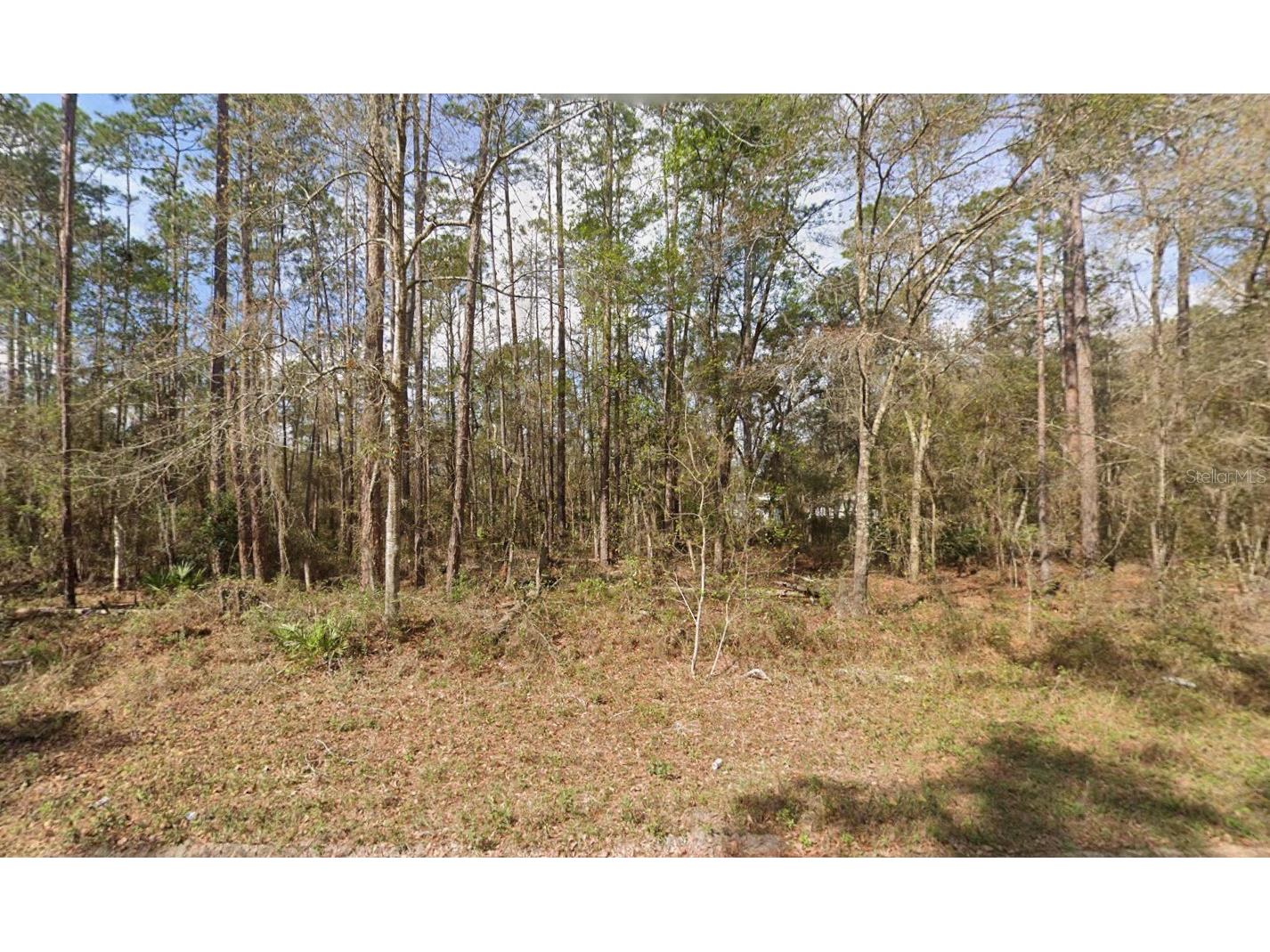 Seminole Avenue Interlachen FL 32148 K4903238 image6