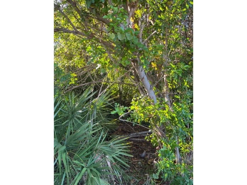  Seminole FL 33776 U8206122 image1