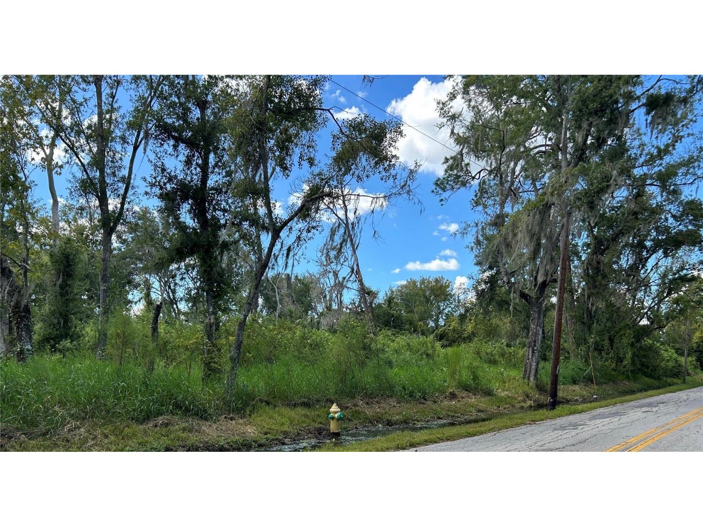 Seminole Lake Blvd & Hickman Ave Plant City FL 33563 TB8431647 image1