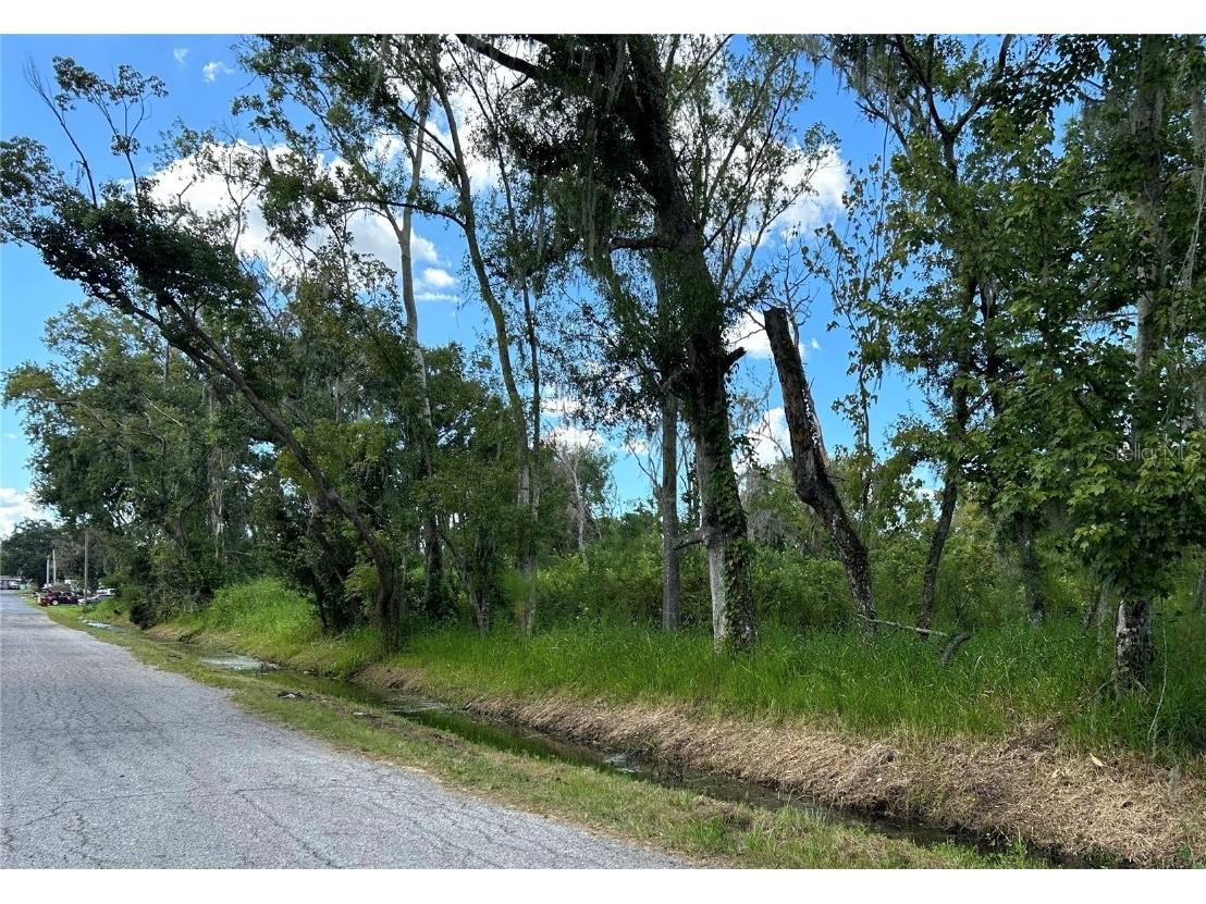 Seminole Lake Blvd & Hickman Ave Plant City FL 33563 TB8431647 image2