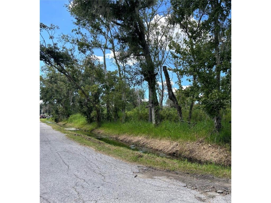 Seminole Lake Blvd & Hickman Ave Plant City FL 33563 TB8431647 image3