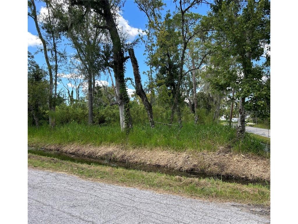 Seminole Lake Blvd & Hickman Ave Plant City FL 33563 TB8431647 image4