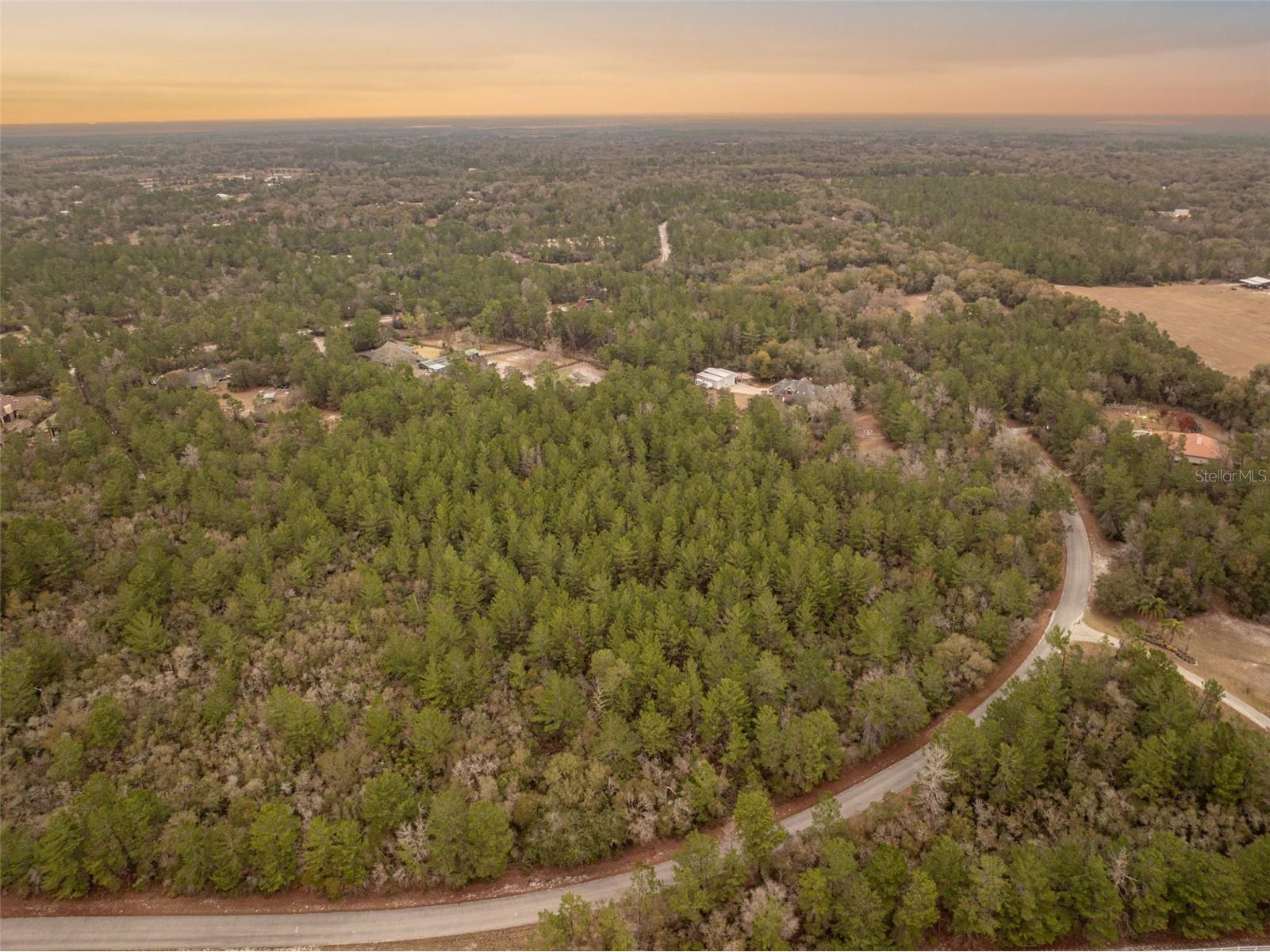 Seminole Woods Boulevard Geneva FL 32732 - Buck Lake O6383031 image1