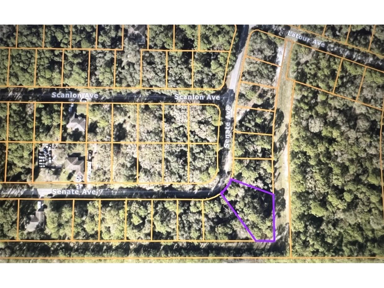 Senate Avenue North Port FL 34291 C7477566 image1