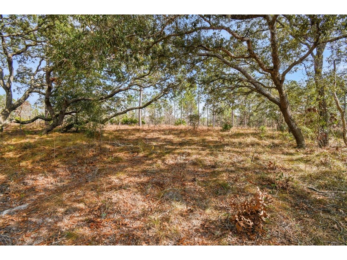Seneca Road Weeki Wachee FL 34614 TB8351582 image1