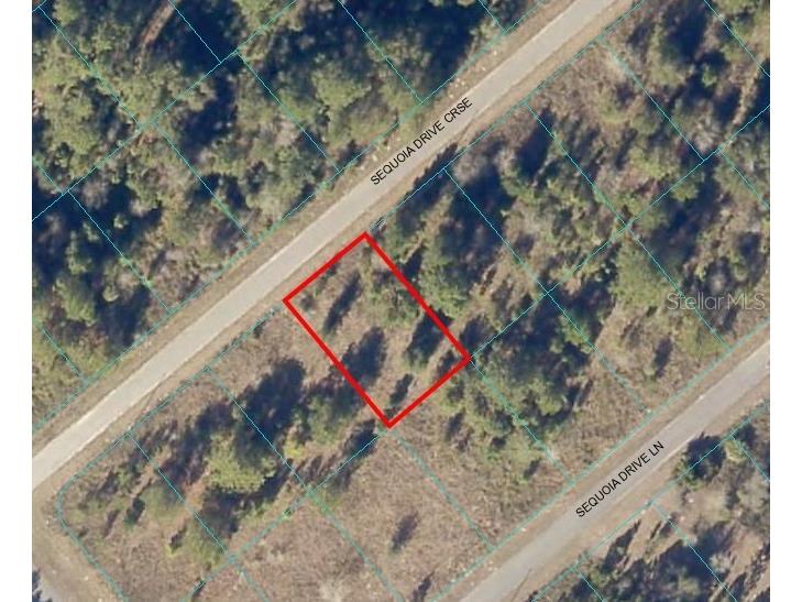 Sequoia Dr Crse Ocklawaha FL 32179 OM663119 image1