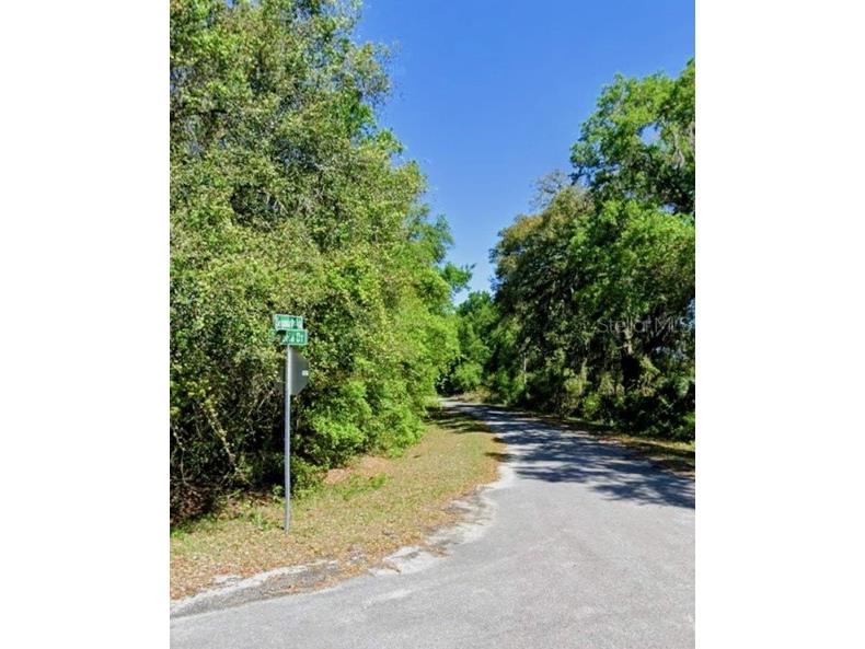 Sequoia Drive #LOT 5 Ocklawaha FL 32179 A4695966 image1