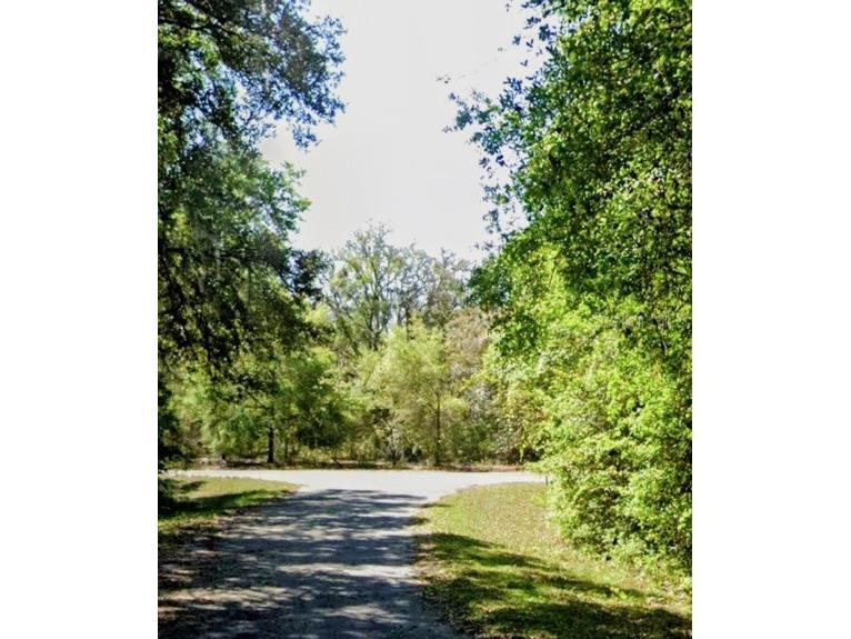 Sequoia Drive #LOT 5 Ocklawaha FL 32179 A4695966 image3