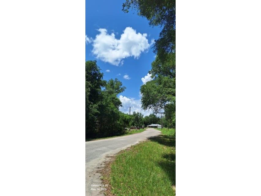 Sequoia Drive #LOT 5 Ocklawaha FL 32179 A4695966 image4