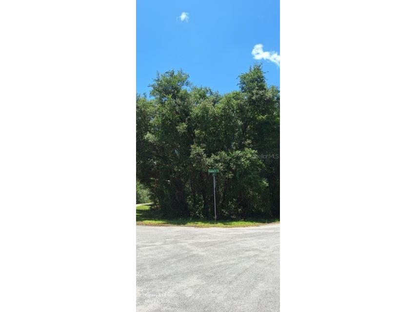 Sequoia Drive #LOT 5 Ocklawaha FL 32179 A4695966 image5