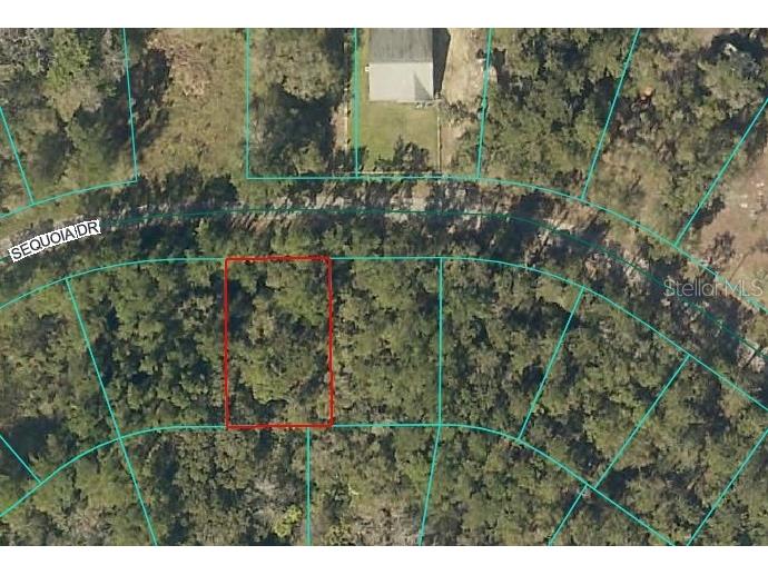 Sequoia Drive Ocklawaha FL 32179 G5106438 image1