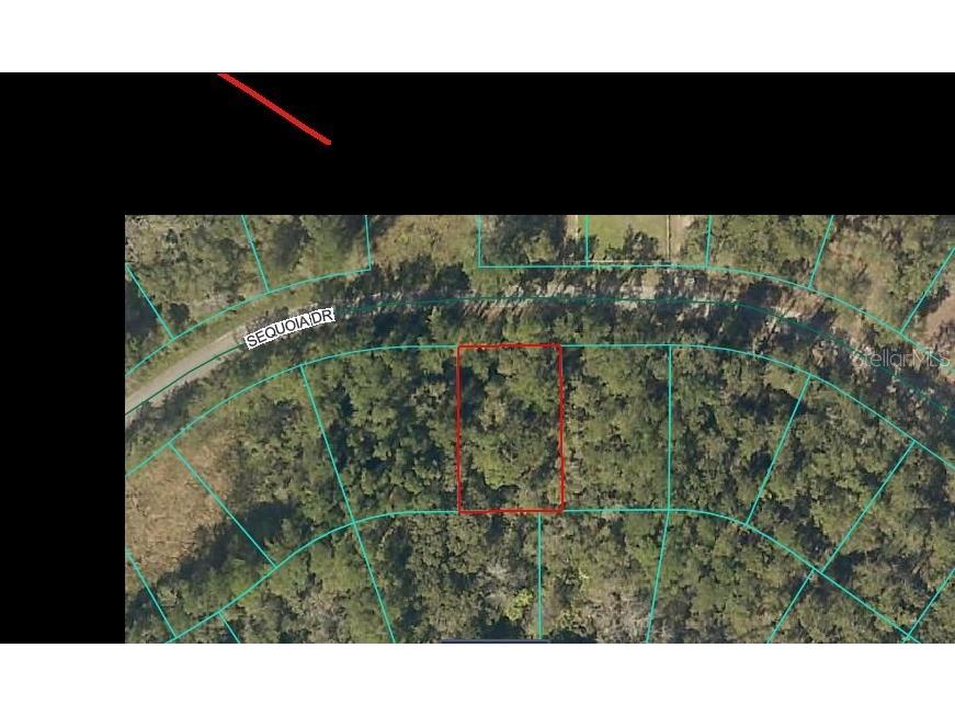 Sequoia Drive Ocklawaha FL 32179 G5106438 image2