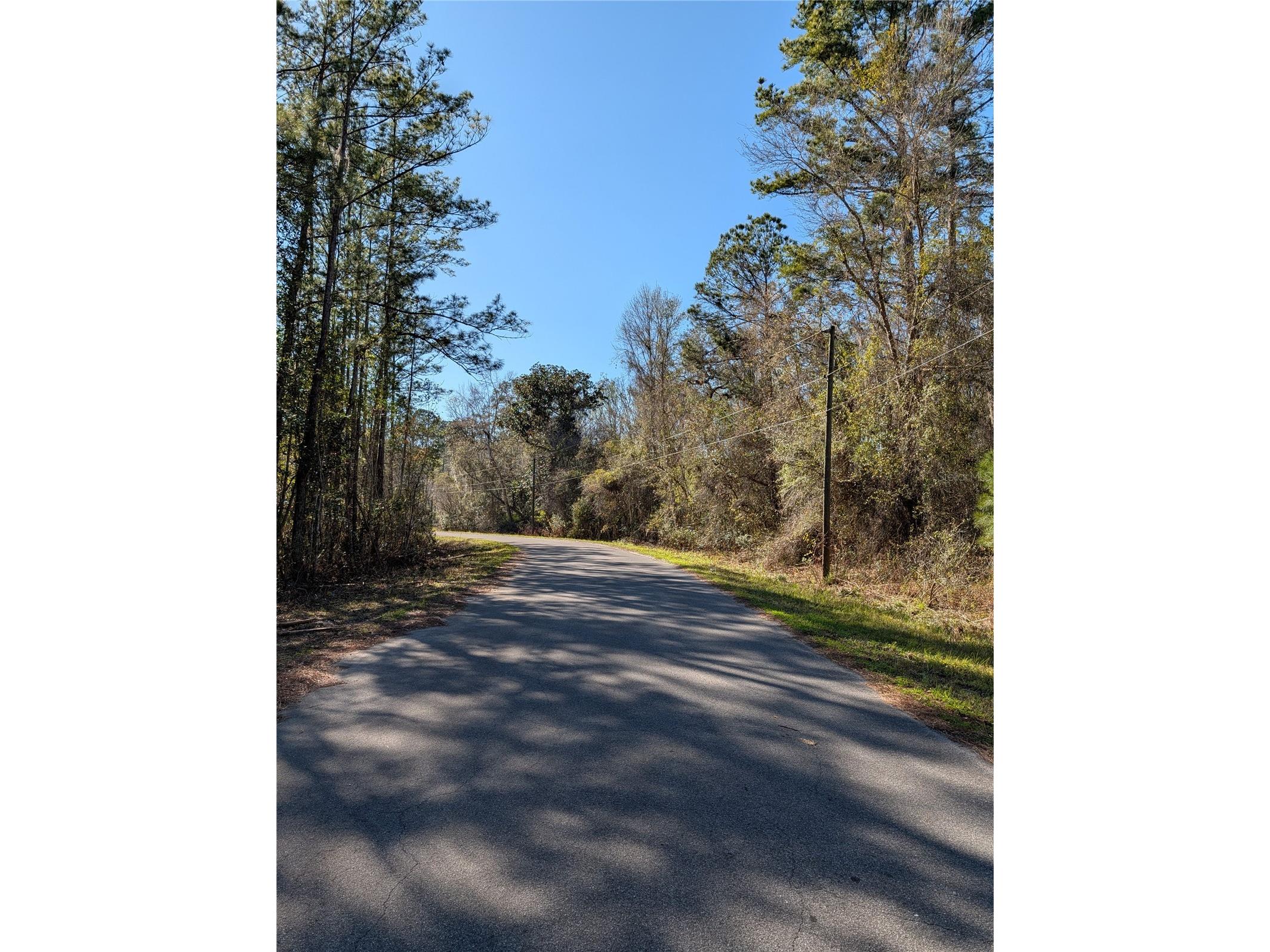 Sequoia Drive Ocklawaha FL 32179 G5106438 image4