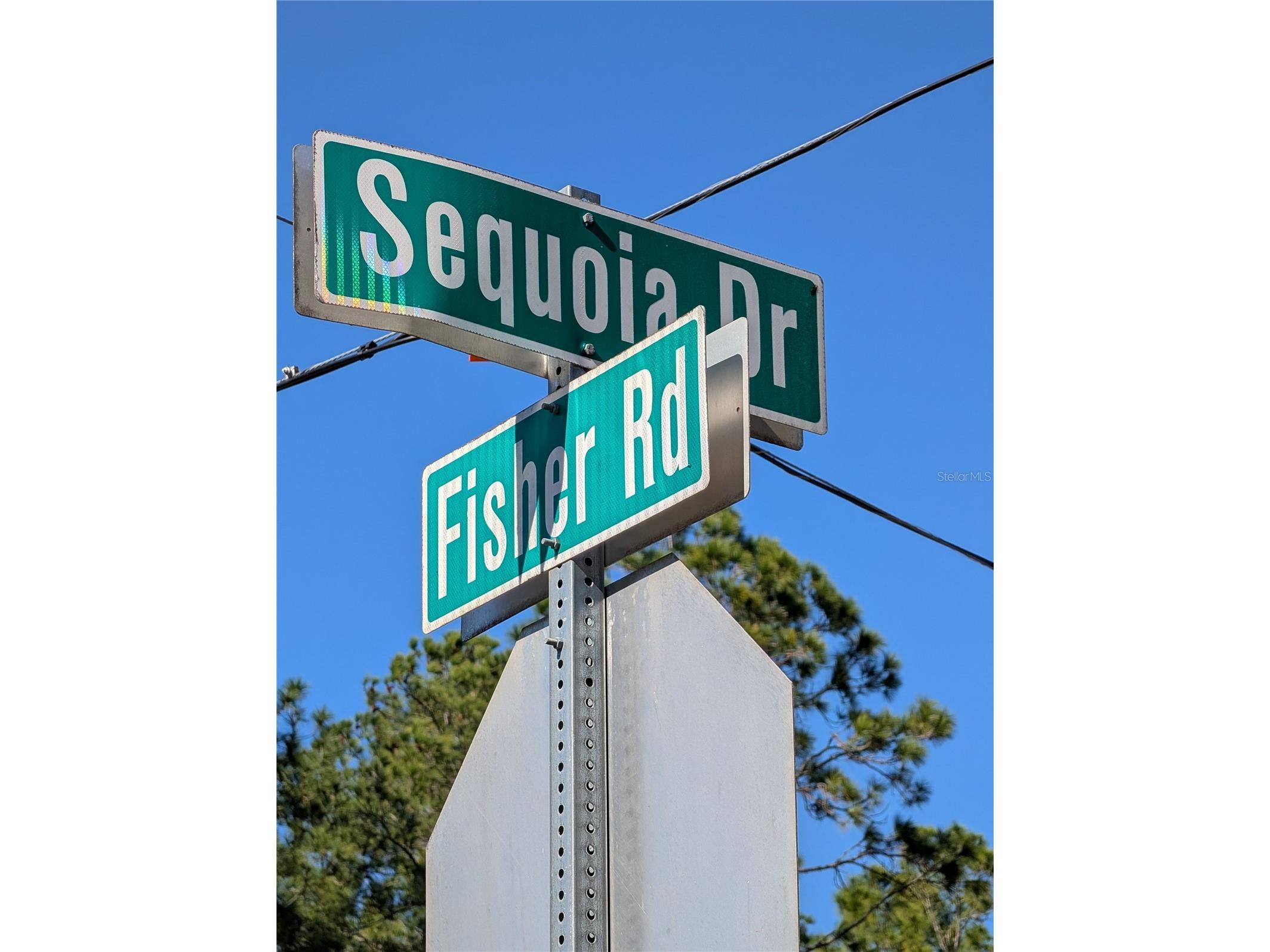 Sequoia Drive Ocklawaha FL 32179 G5106438 image5
