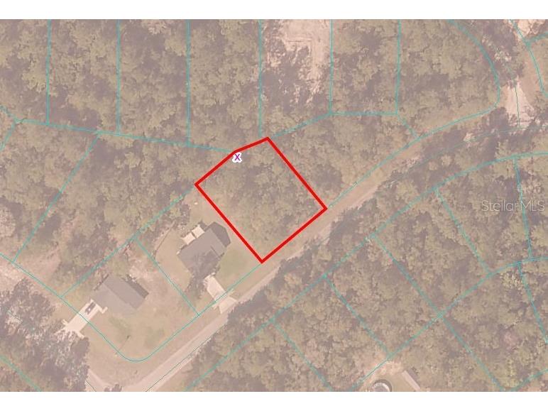 Sequoia Drive Ocklawaha FL 32179 OM682182 image4